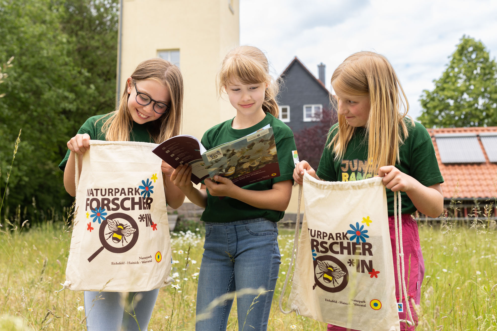 Die fantastische Welt der Wildbienen